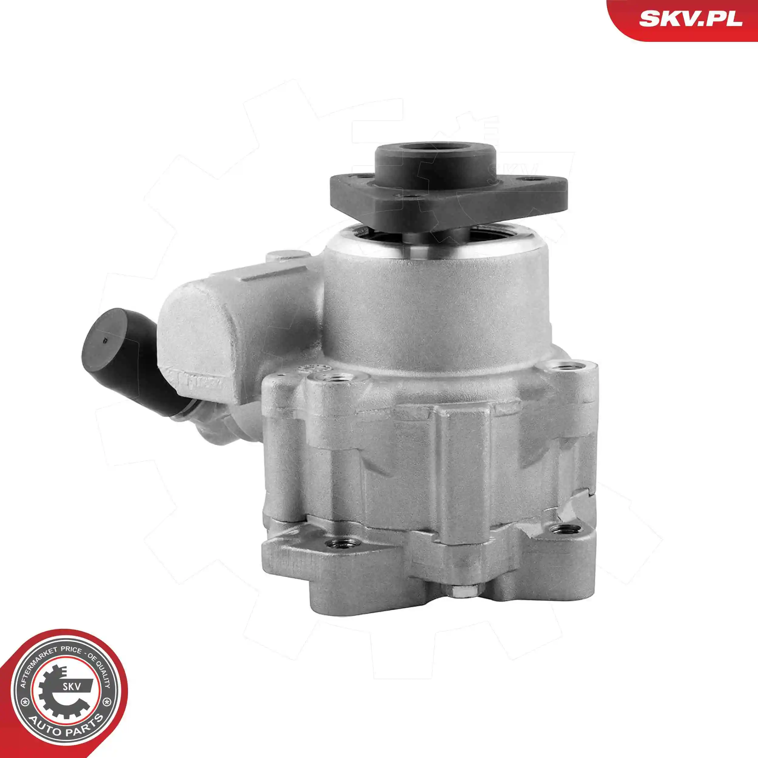 Hydraulic Pump, steering